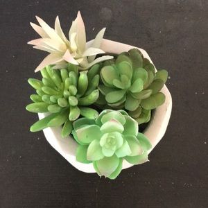 Meet your Posher, Shellise